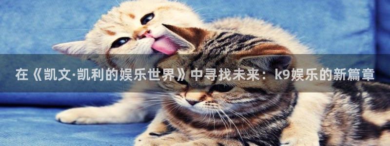 环球360私网代理合作