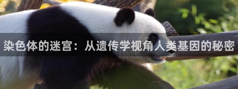 环球360登录入口