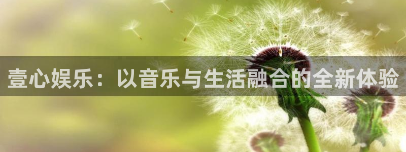 环球360私网代理合作