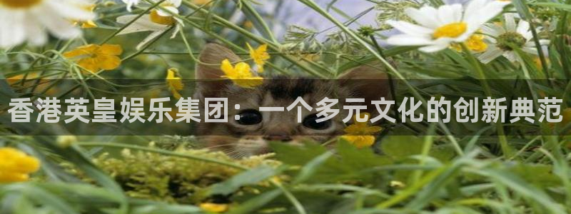 环球360一比一