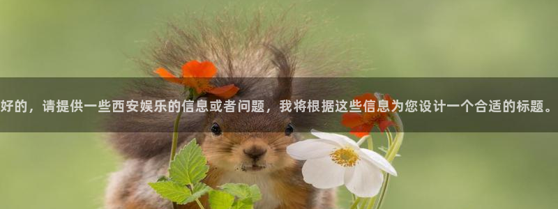 环球360