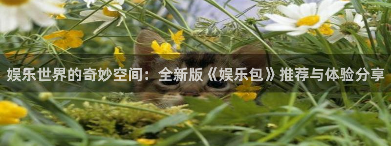 环球360官网